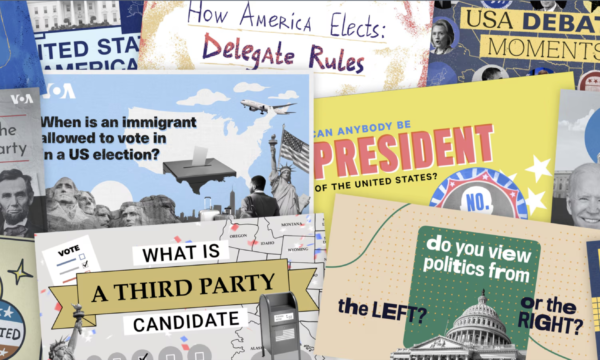 Collage of different graphic illustration about elections